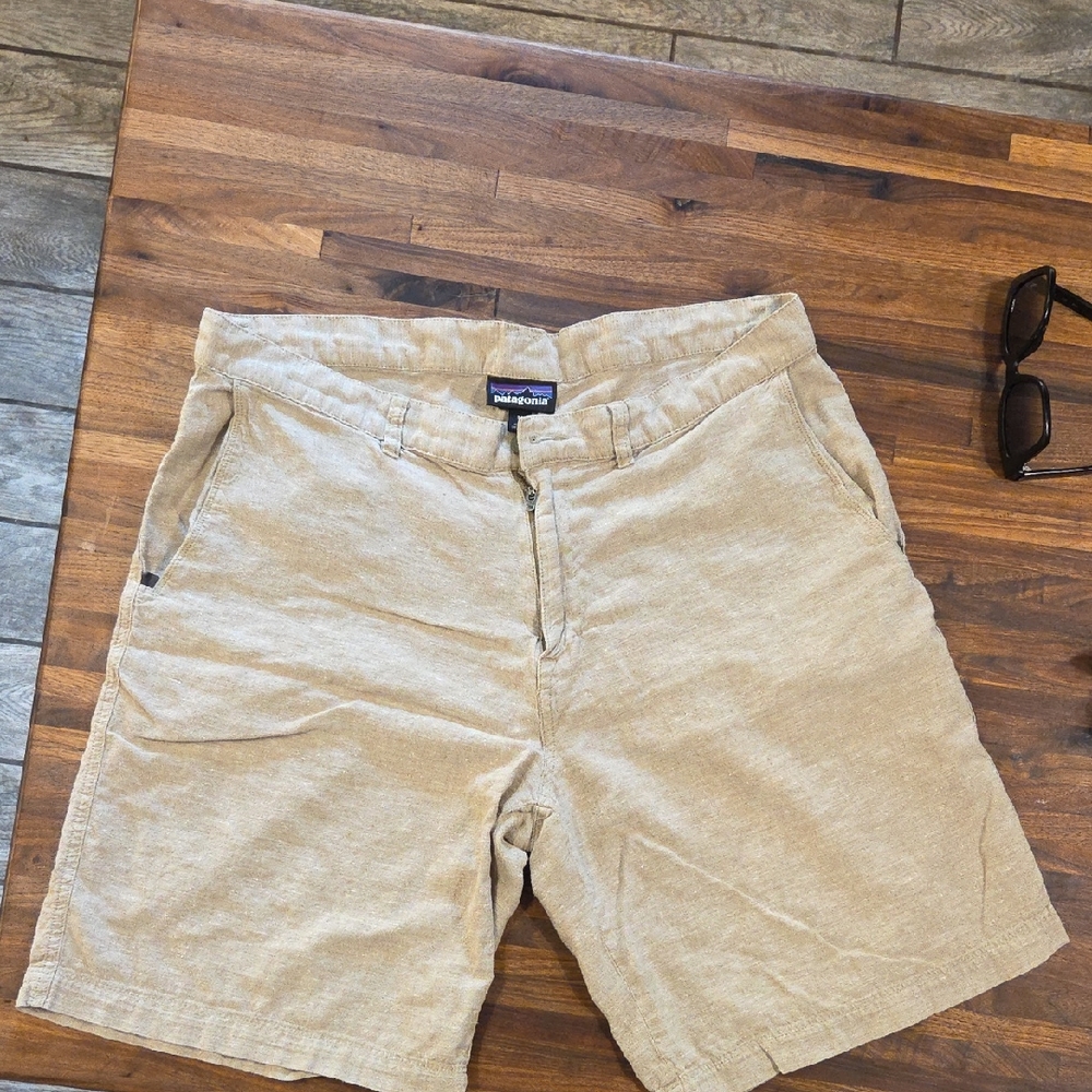 Patagonia Men's Beige Flat Front Shorts